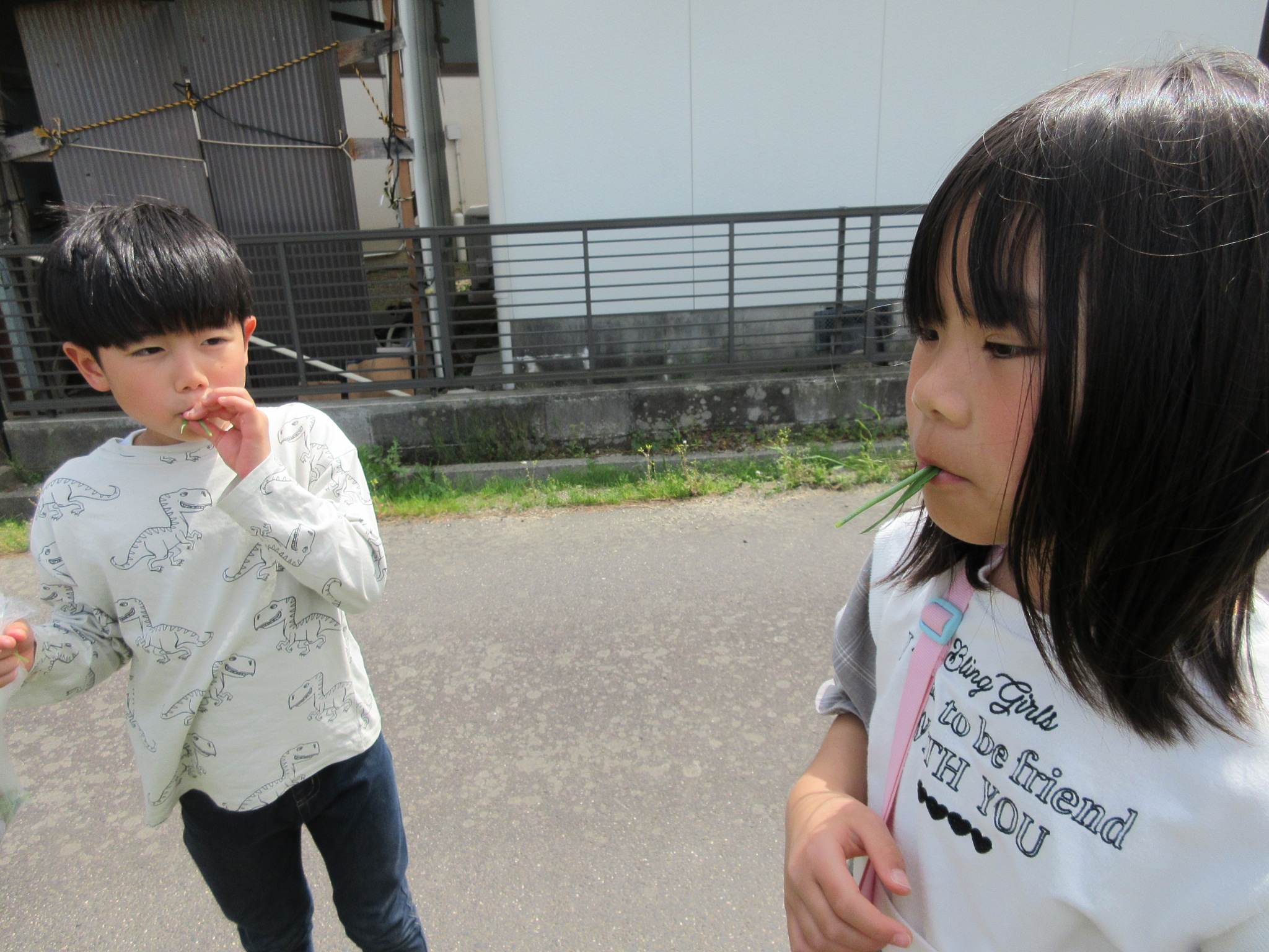 散歩
